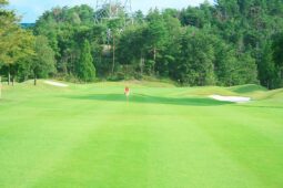 セカンドショット