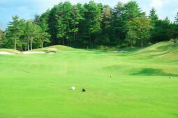 ティーショット