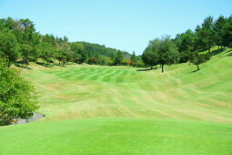 ティーショット