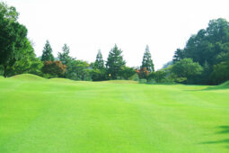 セカンドショット