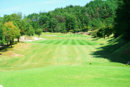 ティーショット