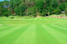 セカンドショット