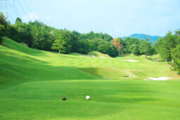 ティーショット