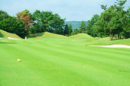 セカンドショット