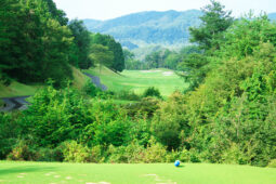 ティーショット