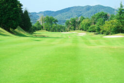 セカンドショット