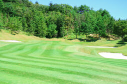 セカンドショット