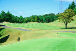 ティーショット