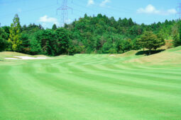 セカンドショット