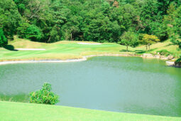 ティーショット