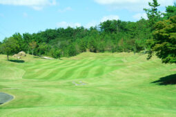 ティーショット