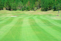 セカンドショット