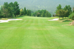 セカンドショット