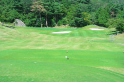 ティーショット