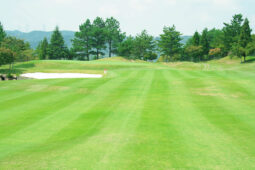 セカンドショット