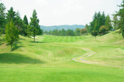 ティーショット