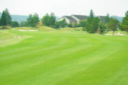 セカンドショット